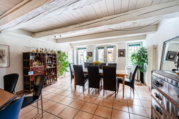 Grosszügige 1-Zimmerwohnung in der Altstadt Schaffhausen, 260m2 5