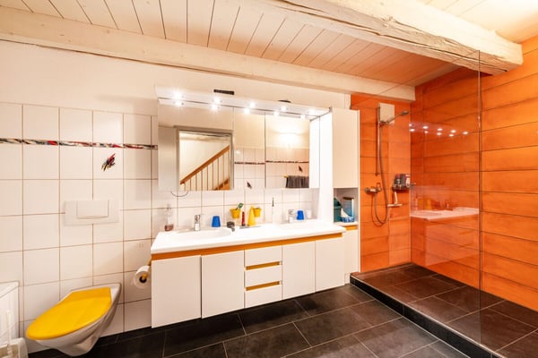 Grosszügige 1-Zimmerwohnung in der Altstadt Schaffhausen, 260m2 8