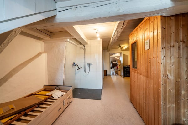 Grosszügige 1-Zimmerwohnung in der Altstadt Schaffhausen, 260m2 10