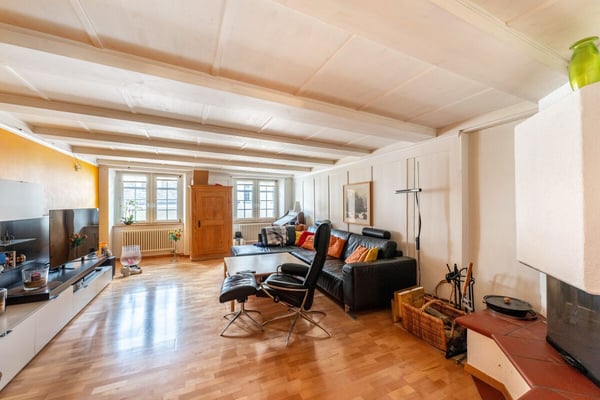 Grosszügige 1-Zimmerwohnung in der Altstadt Schaffhausen, 260m2 2