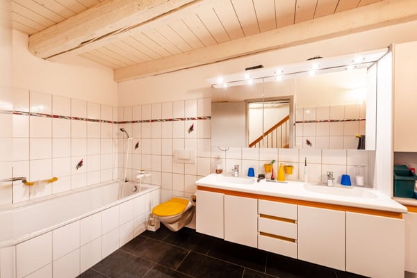 Grosszügige 1-Zimmerwohnung in der Altstadt Schaffhausen, 260m2 9