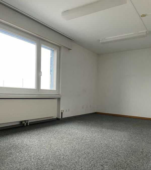 Büroräumlichkeiten am Rande von Diessenhofen 3