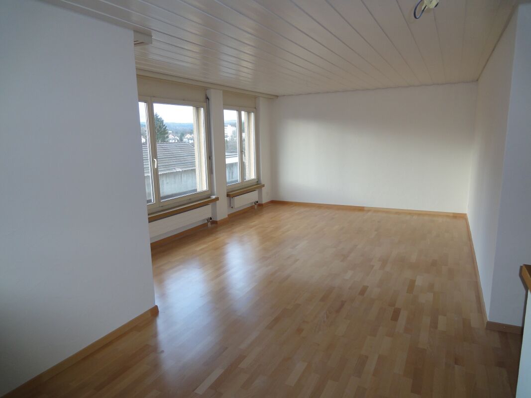 Attic apartment with roof terrace newly renovated