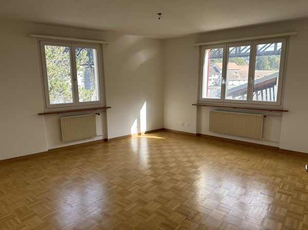 Blick auf Rhein, Schifflände und Munot 3