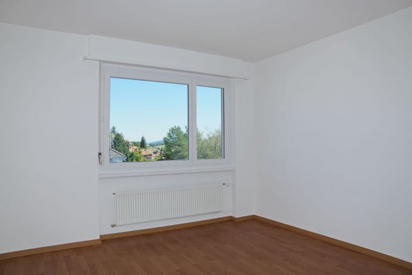 Schaffhausen