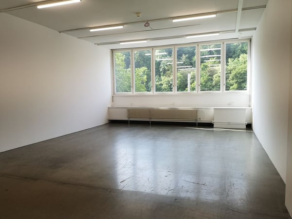 Flexible Büro- und Atelierflächen direkt am Rhein 4