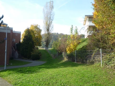 Schöne Gartenwohnung an der Grünzone 3