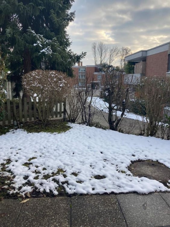 Schöne Gartenwohnung an der Grünzone 7