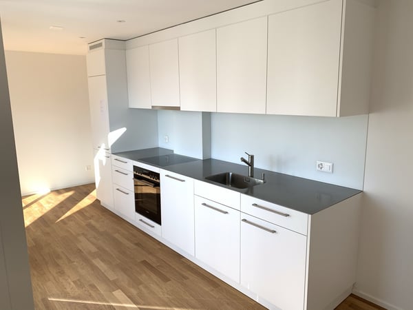 3.5 Zimmer Wohnung Zentral sucht neuen Mieter 2