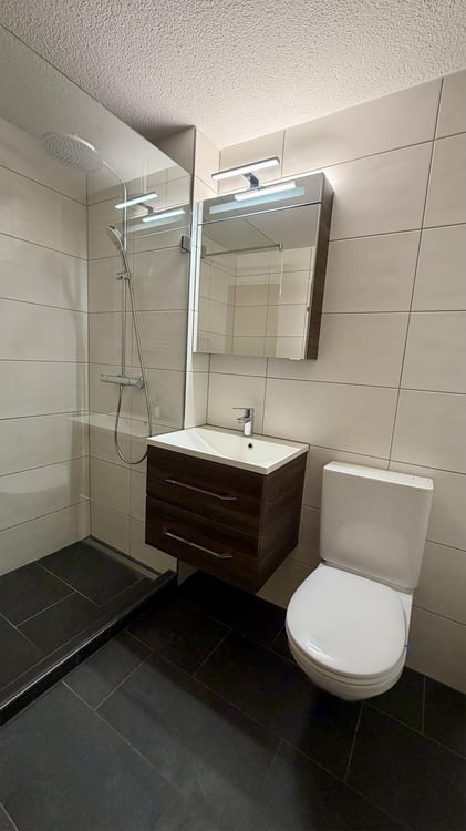 Helle 4.5-Zimmer-Wohnung mit Sitzplatz in Gelterkinden 3