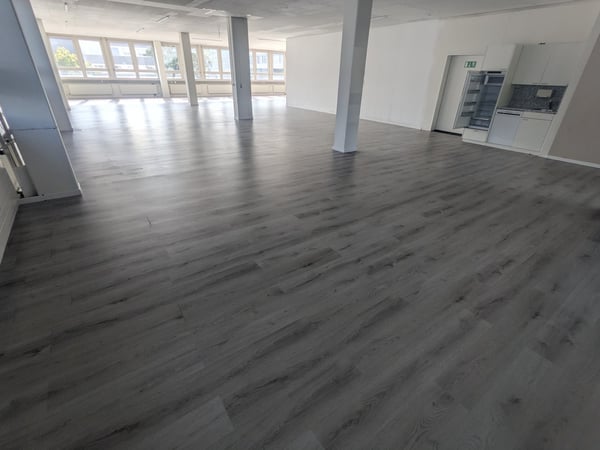 Helle Büroräumlichkeiten in der Industriezone von Dietikon zu vermieten 4