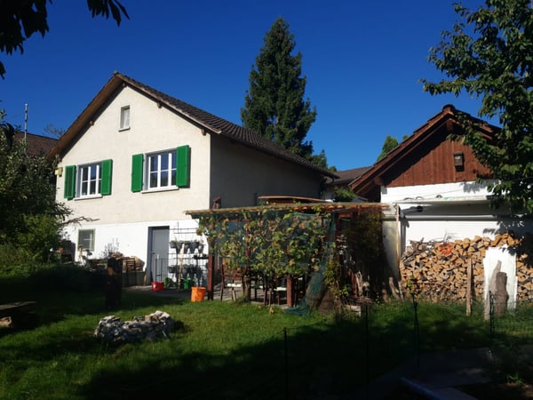Charmantes 3-Zimmer-Haus 1