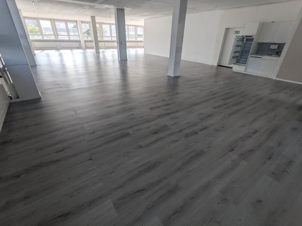 300m² Büro, 8953 Dietikon 4