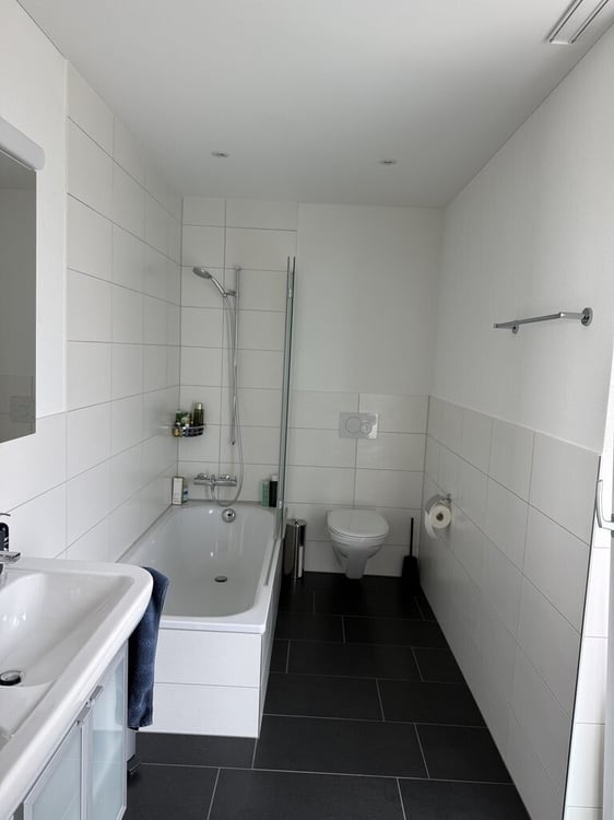 1.5 Zimmer-Attikawohnung in Gränichen mieten 4