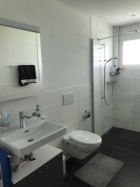 gemütliche Wohnung in freundlicher Überbauung 4