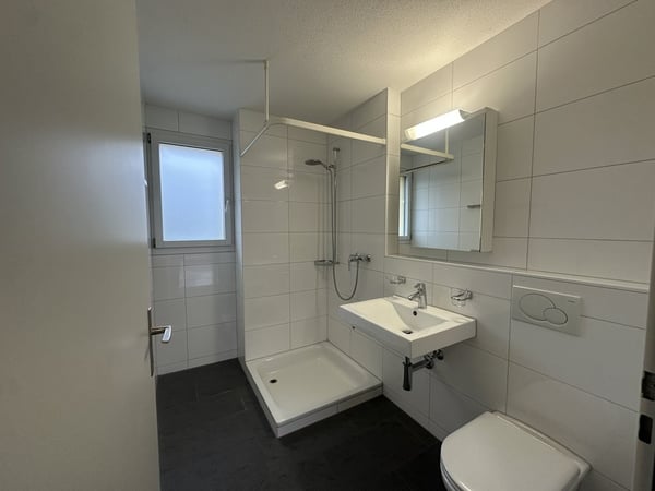 Wunderschöne 3.5 ZWG im Erdgeschoss 5
