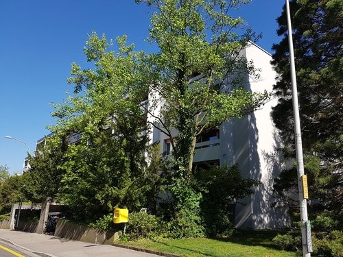 Büro-/Praxisräume Nähe Bahnhof und Inselspital 1