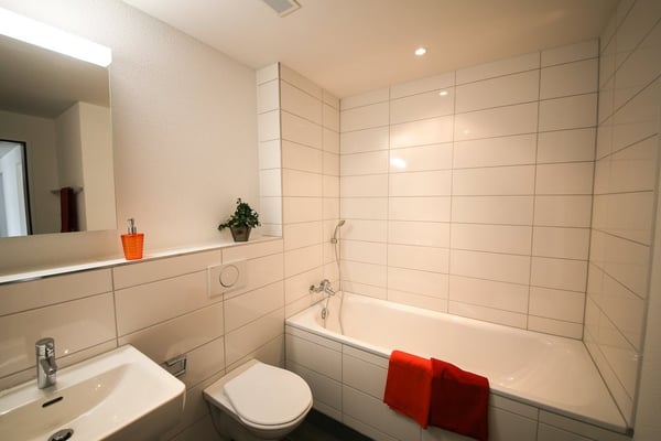 Grosszügige Wohnung sucht neue Familie 6