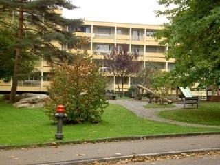 Wir suchen genau Sie 2