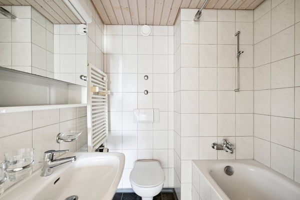 Willkommen zu Hause 3