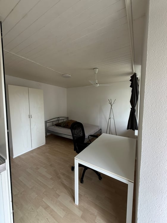 Wohnung sucht Single 3