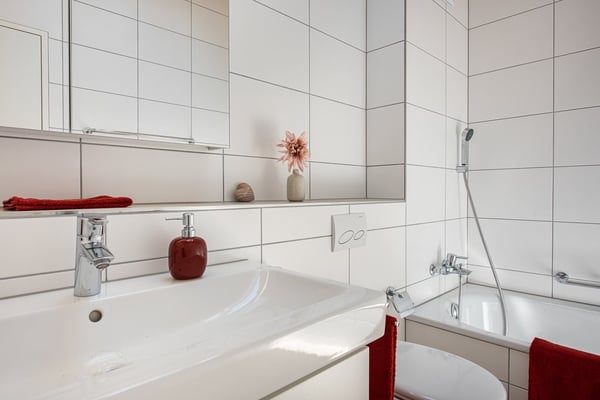 Moderne Dachwohnung sucht Bewohner 6