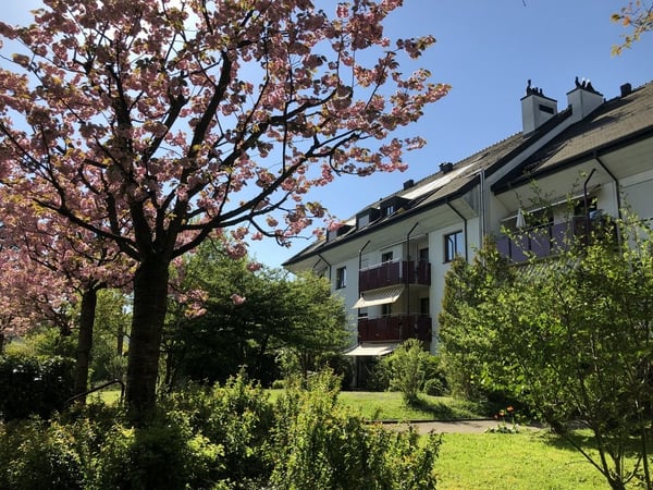 Preview image of the real estate