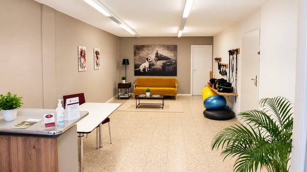 Gewerberäumlichkeiten mitten in Abtwil 3