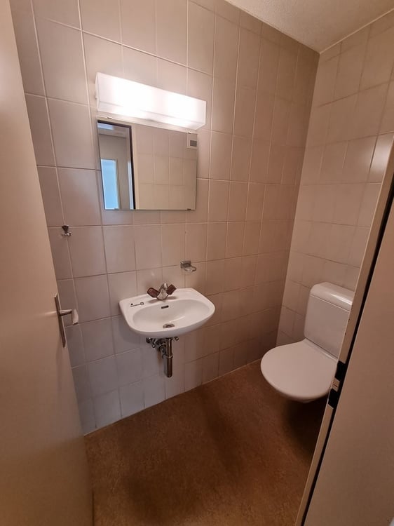 Grosszügige Familienwohnung in Stadtnähe 6