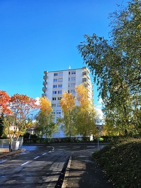 Le Landeron