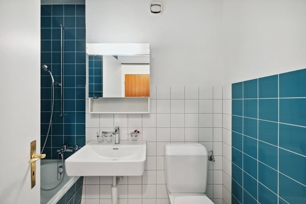 Wohnung sucht neue Partner ! 5