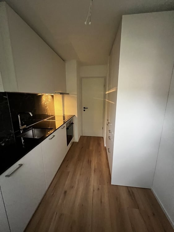 Modernes Wohnen in Luzern 3