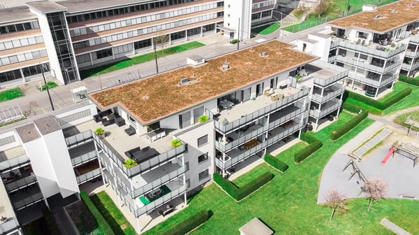 Sonnige Familienwohnung im Grünen 1