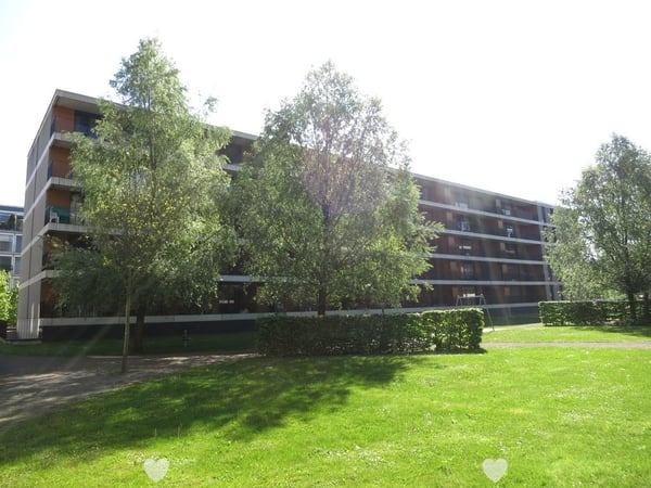Traumwohnung im Herzen von Biel 1