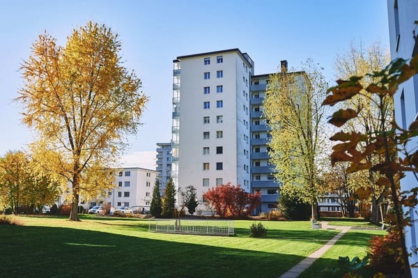 Wohnung sucht Single 1
