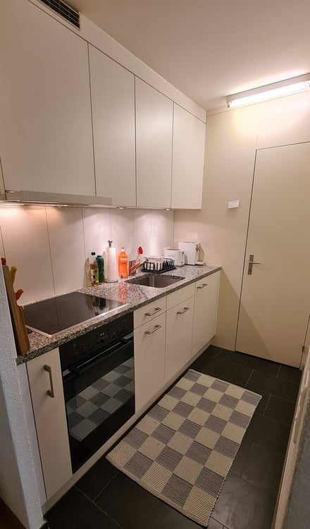 Ihr neues Zuhause mitten im Marzili! 2