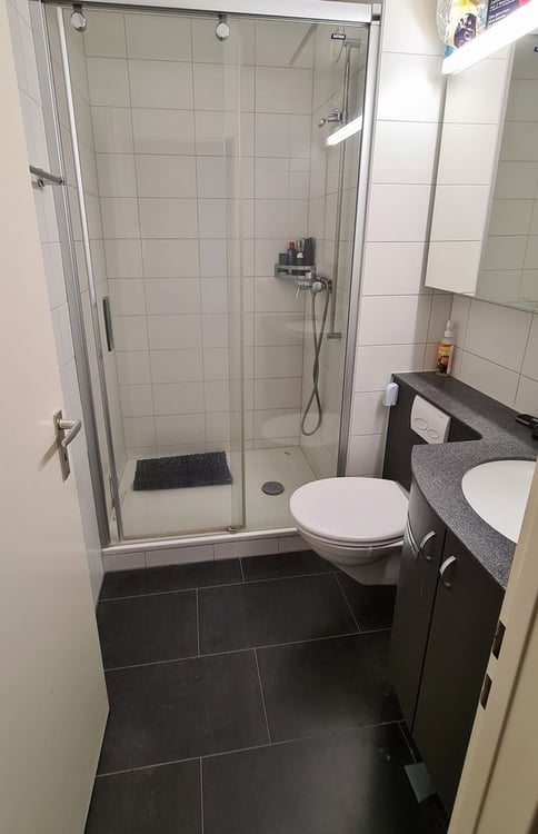 Ihr neues Zuhause mitten im Marzili! 3