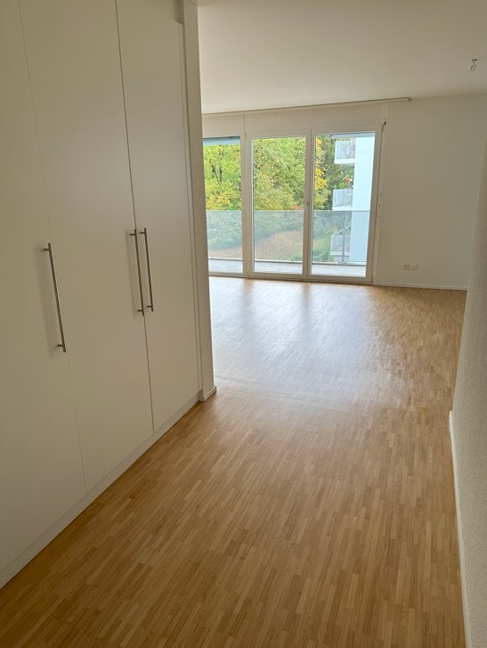 Urbanes Wohnen mit Wohlfühlfaktor - mitten in Luzern! 11