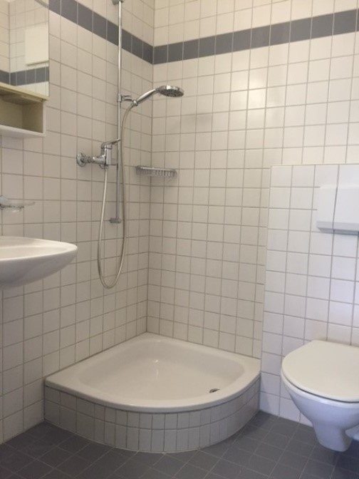 Charmante Dachwohnung mit grossem Balkon und Galerie! 5