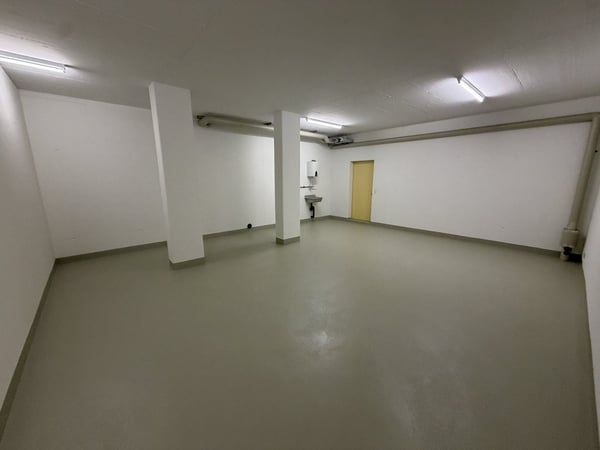 Disponibelraum in Dierikon zu vermieten 2