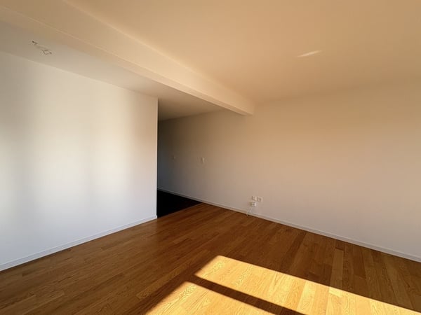 Charmante 1.0-Zimmer-Wohnung mit Gartensitzplatz in Roggwil 3