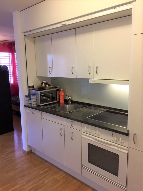 Single Wohnung sucht neuen Mieter 3
