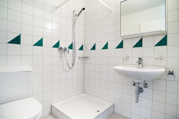 Single Wohnung sucht neuen Mieter 4