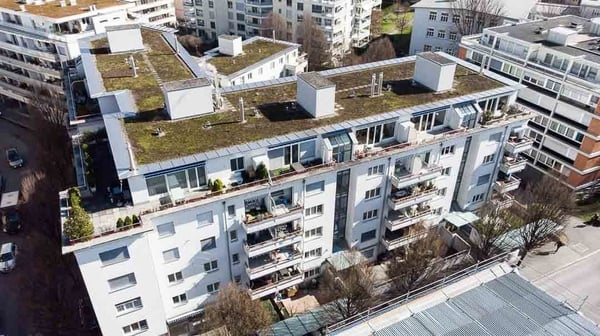 Single Wohnung sucht neuen Mieter 1