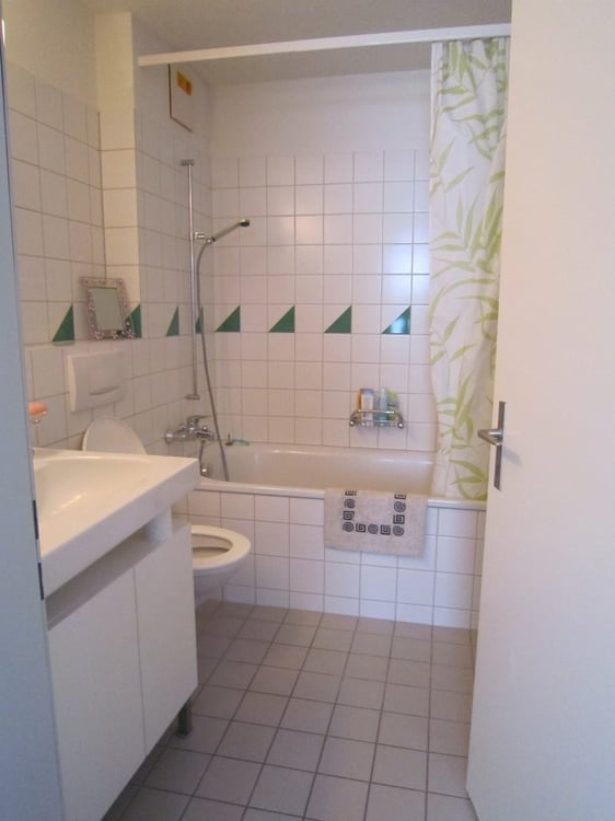 Single Wohnung sucht neuen Mieter 4