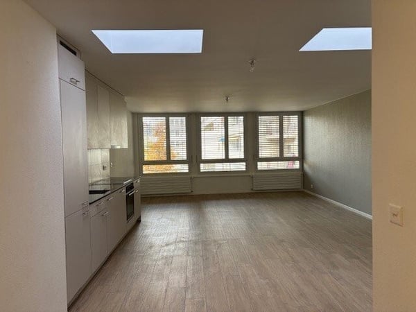 saisir ! Splendide appartement au coeur de Genève ! 2