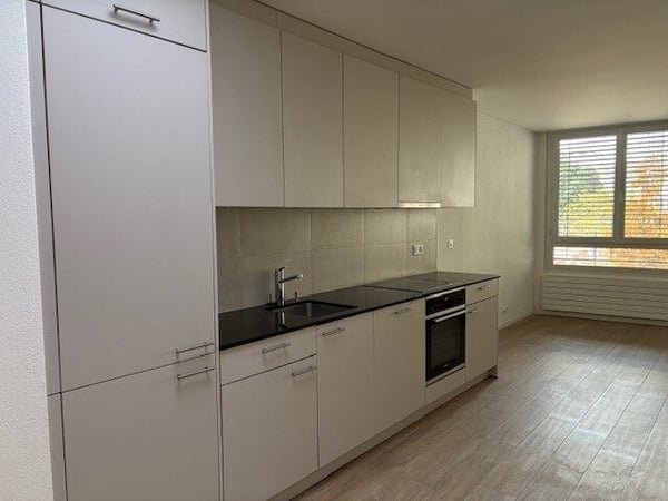 saisir ! Splendide appartement au coeur de Genève ! 3