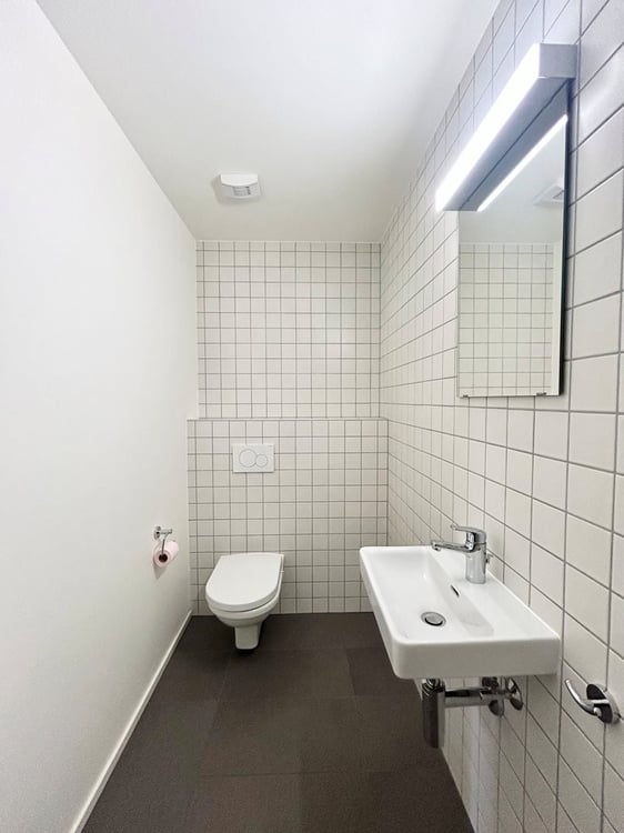 saisir ! Superbe logement au coeur de Sierre ! 7