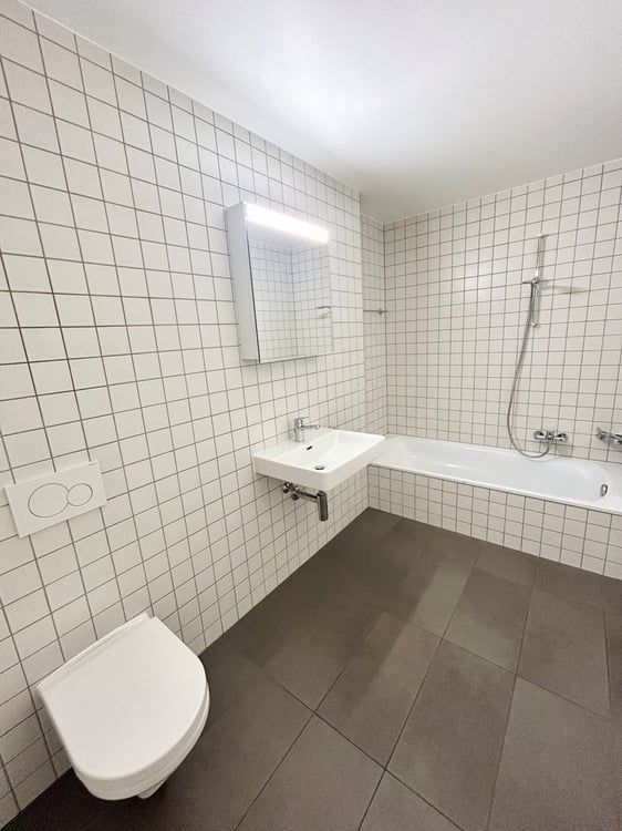 saisir ! Superbe logement au coeur de Sierre ! 6