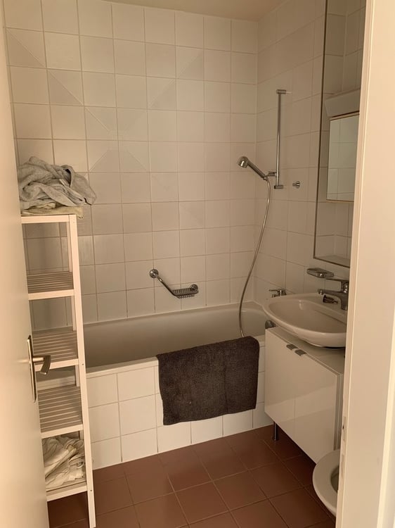 Magnifique appartement en attique ! 6